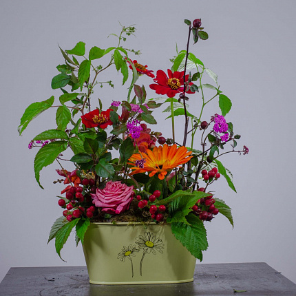 Композиция с садовыми цветами в металлическом кашпо